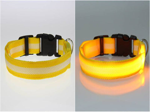 Image of BritePup LED Pet Safety Collar