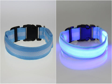 Image of BritePup LED Pet Safety Collar