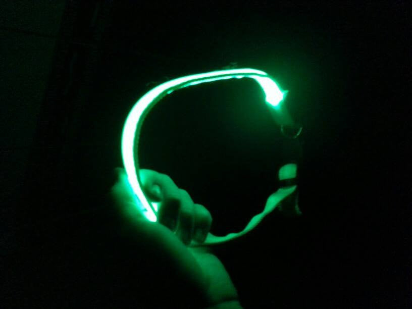 BritePup LED Pet Safety Collar