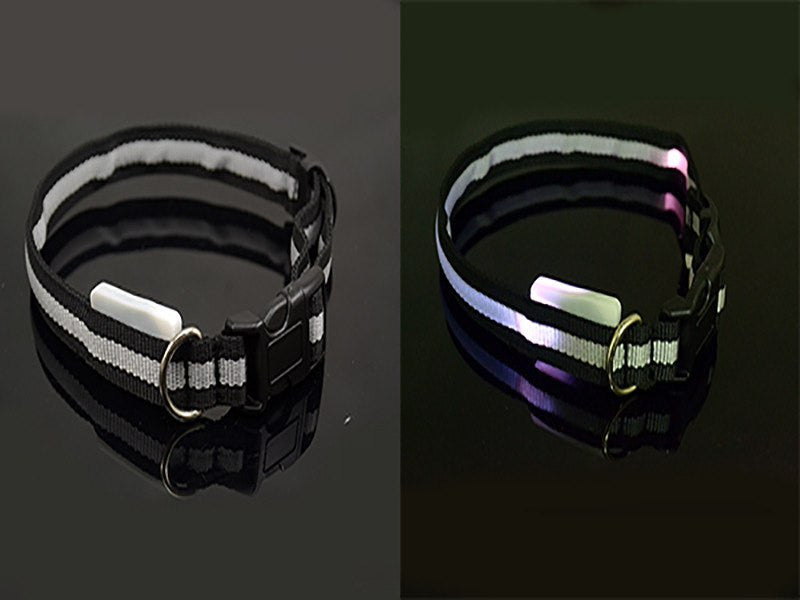 BritePup LED Pet Safety Collar