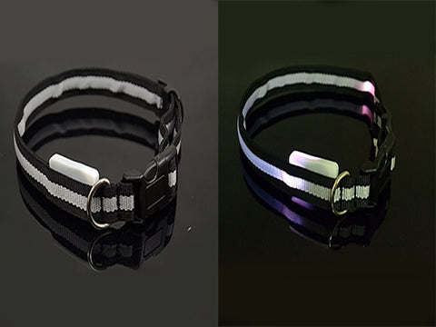 Image of BritePup LED Pet Safety Collar