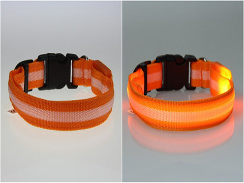 Image of BritePup LED Pet Safety Collar