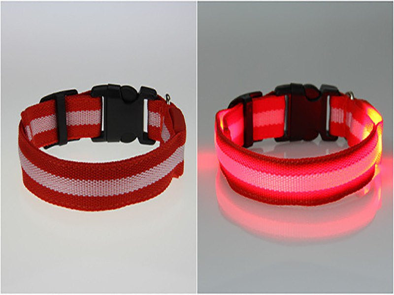 BritePup LED Pet Safety Collar