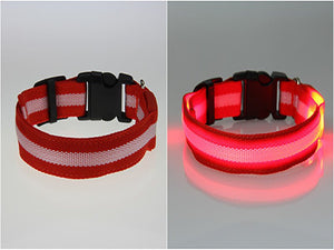 BritePup LED Pet Safety Collar