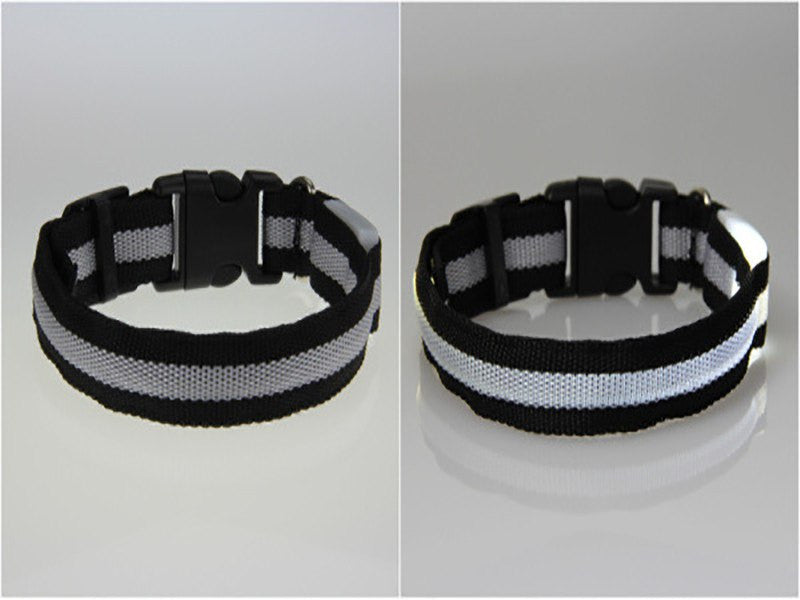BritePup LED Pet Safety Collar