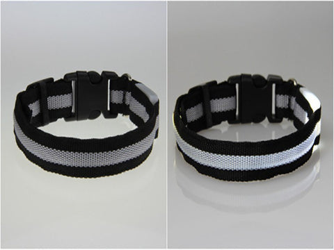 Image of BritePup LED Pet Safety Collar