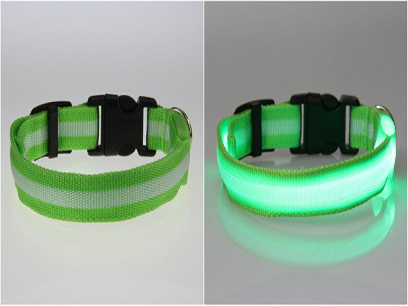 BritePup LED Pet Safety Collar