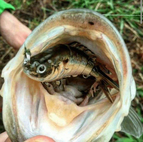 Ultimate Bass Buster 6 Segment Swim Bait   *FREE SHIPPING*