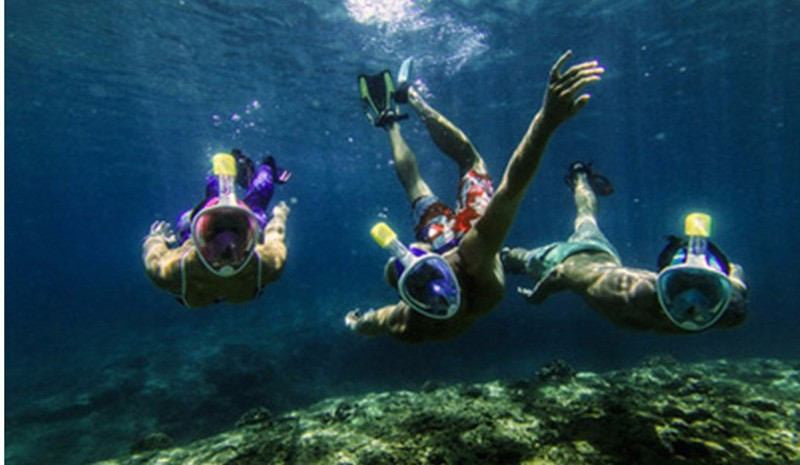 FREE BREATH 180° FULL FACE SNORKEL MASK