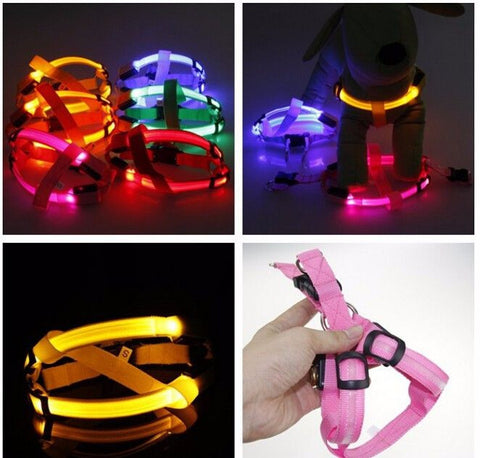 Image of LED NYLON DOG HARNESS